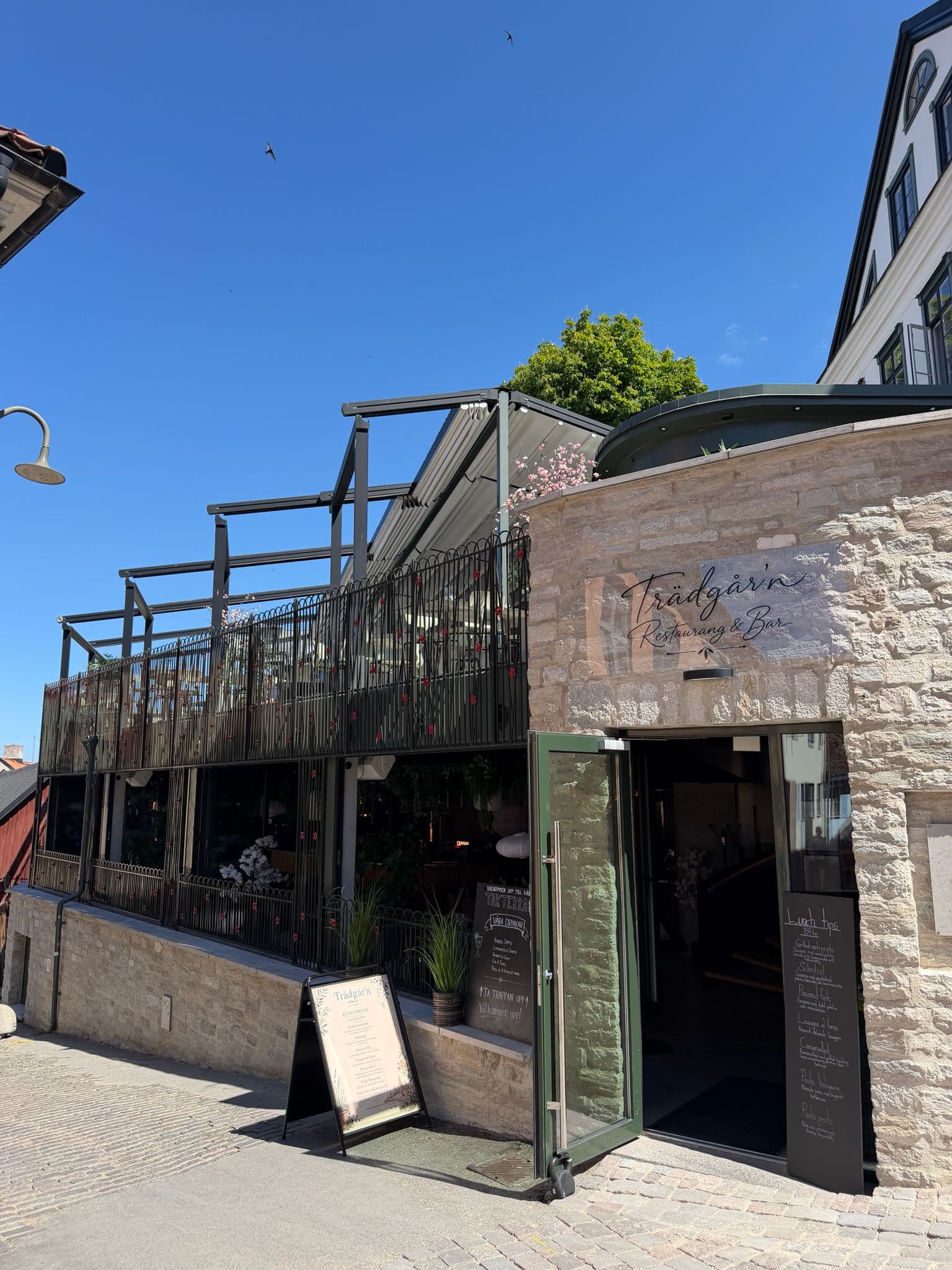 Välkommen till Trädgårn Visby